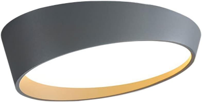 Simple Style Ceiling Lamp