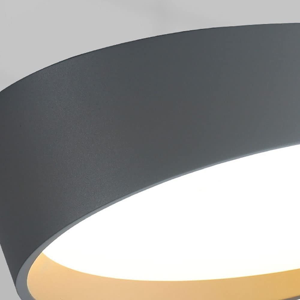 Simple Style Ceiling Lamp