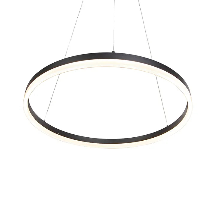 LED Pendant Light P5138B