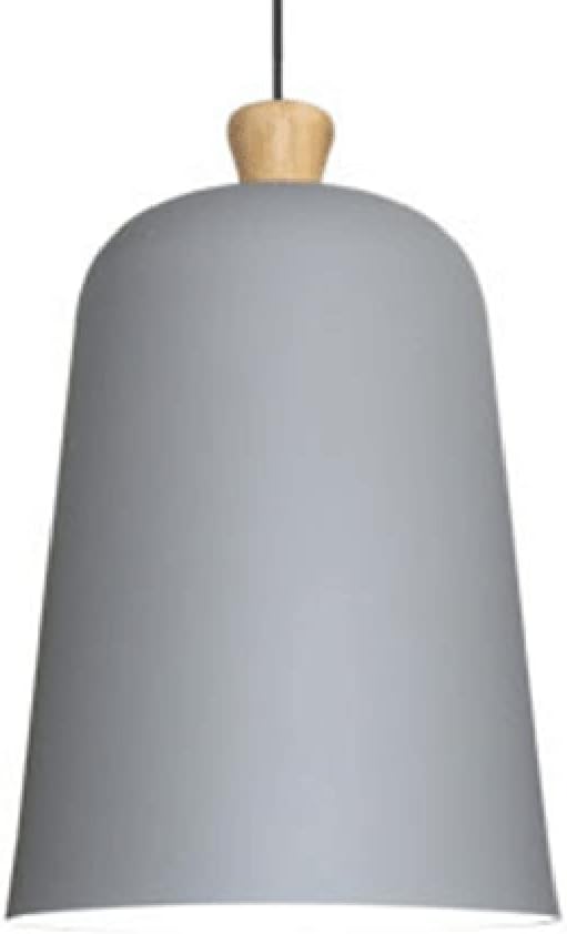 Modern Pendant Ceiling Light