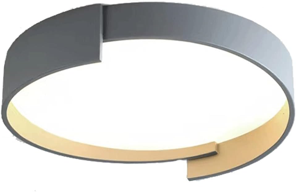 Simple Style Gray Color Ceiling Lamp
