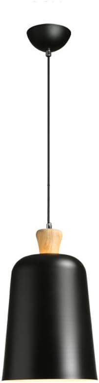 Modern Pendant Ceiling Light