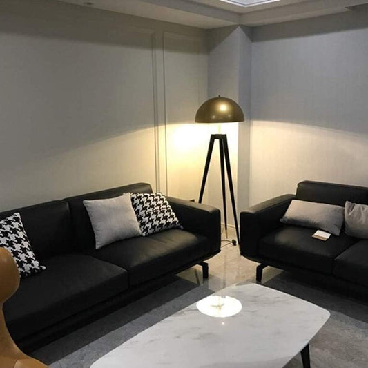 Painted Metal Floor Lamp, Reading Lamp with Sturdy Tripod Base