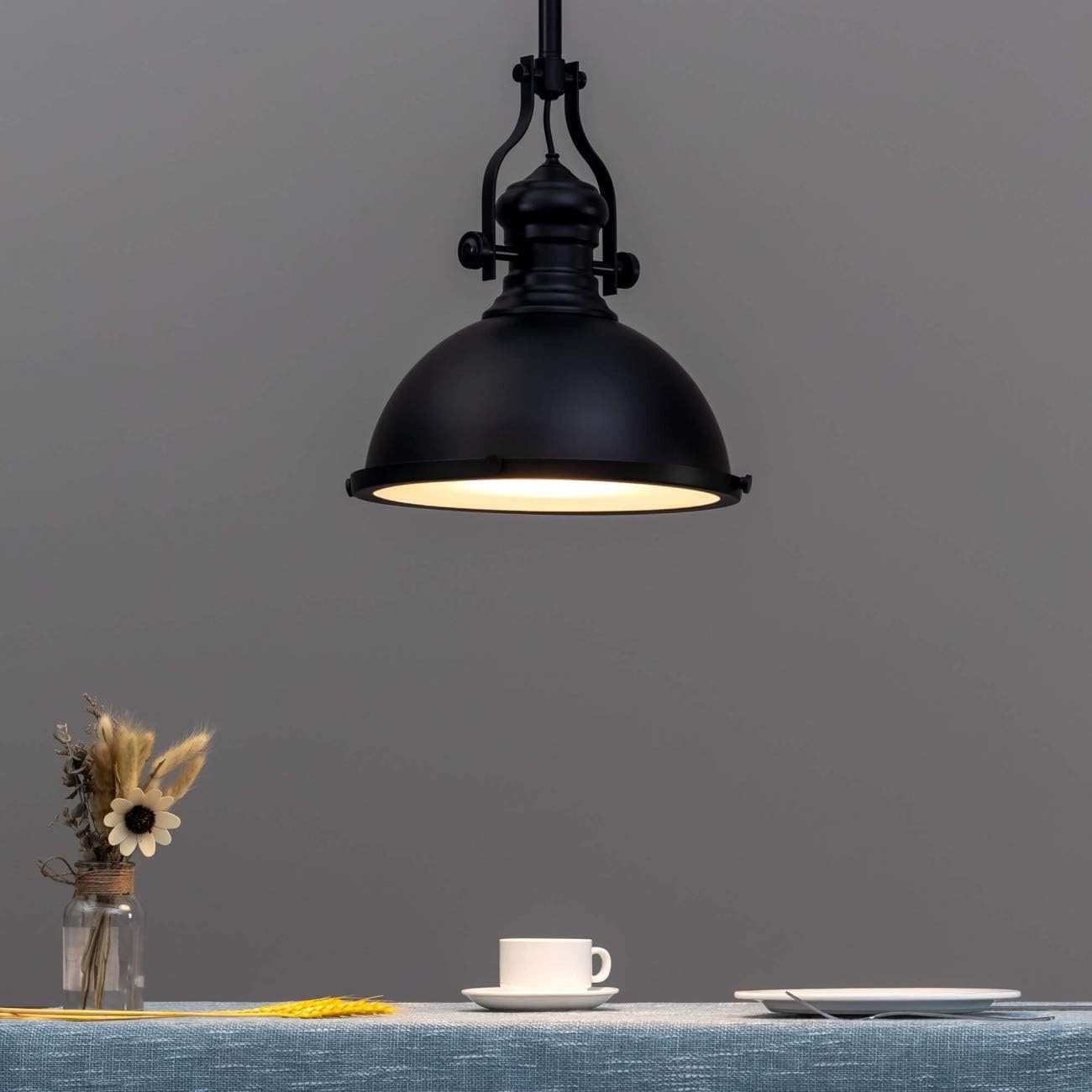 Industrial Retro Black  Iron Light 90103-1