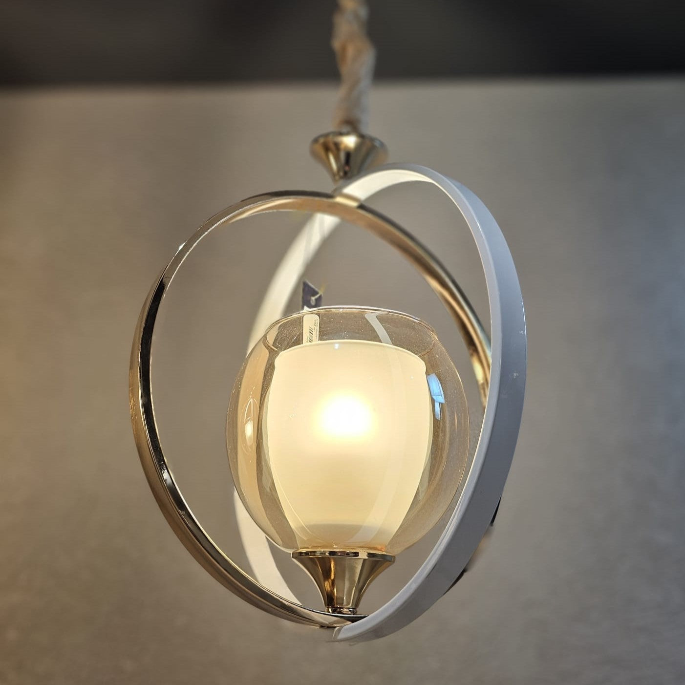 Modern Design Pendant Light 9599-1H