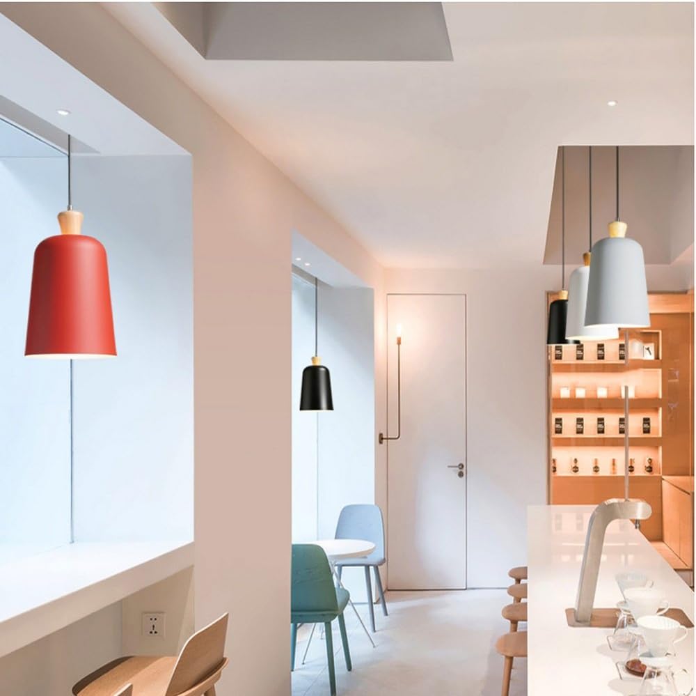 Modern Pendant Ceiling Light