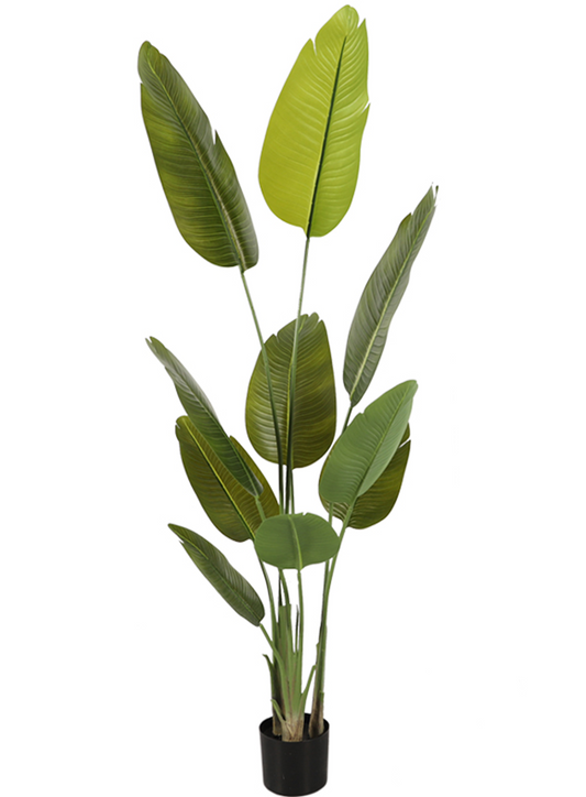 Artificial Banana Tree SL-1.8MLRJ & SL-2.2MLRJ
