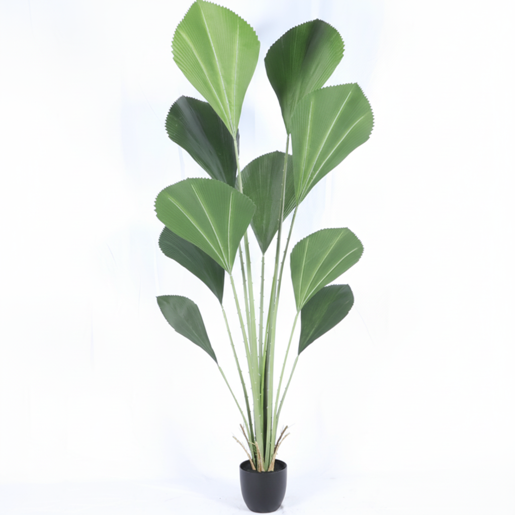 עץ ליקואלה מלאכותי SL-1.8MSMDLZ-GN