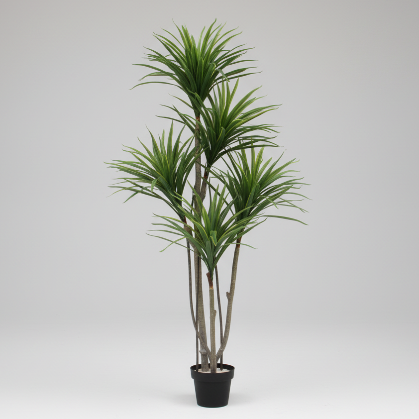 יוקה עץ מלאכותי BJ216/5