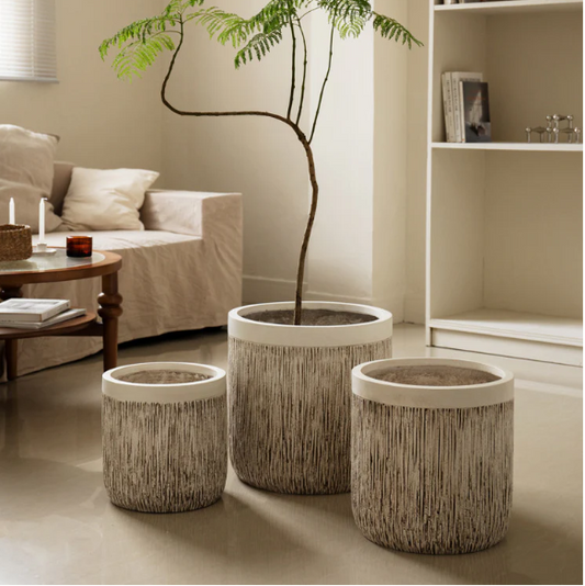 Plant Pot 2020