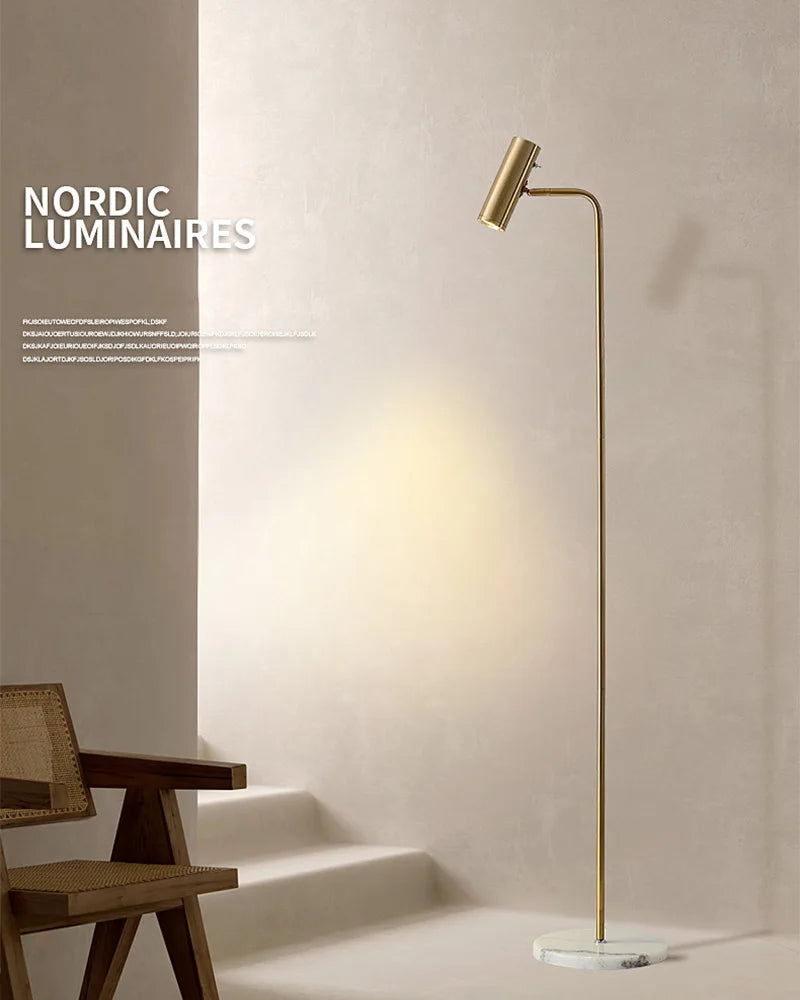 Modern Floor Lamp RL9243-GD