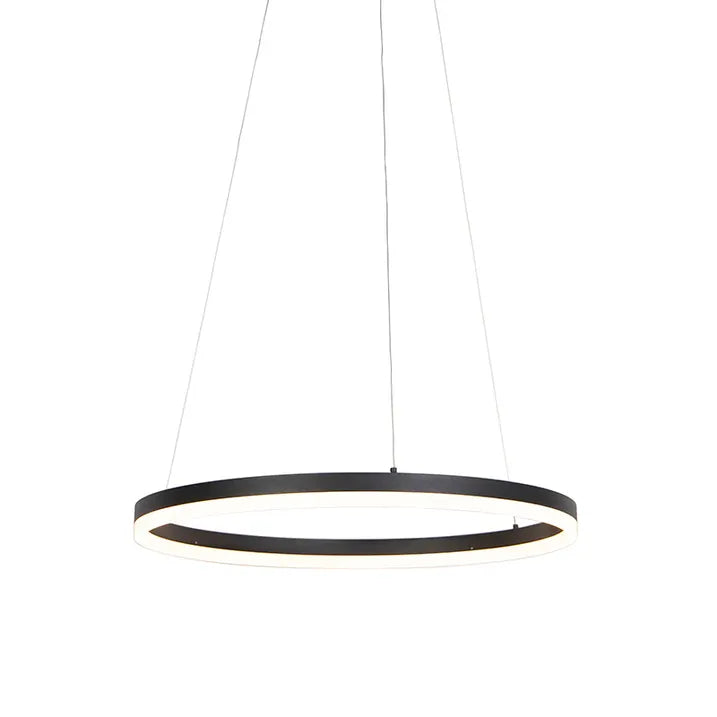 LED Pendant Light P5138B