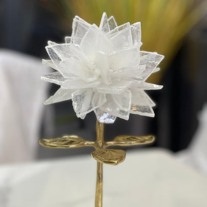 Selenite Flower on Agate Base H638A