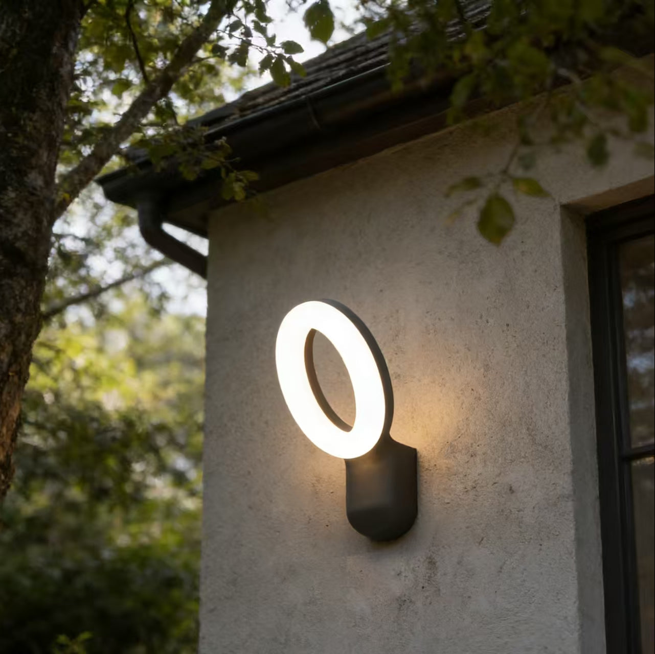 Outdoor Wall Light X210-12W/BK