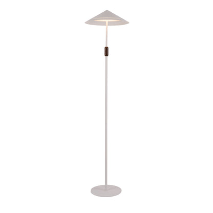 Floor Lamp RL9288-WH