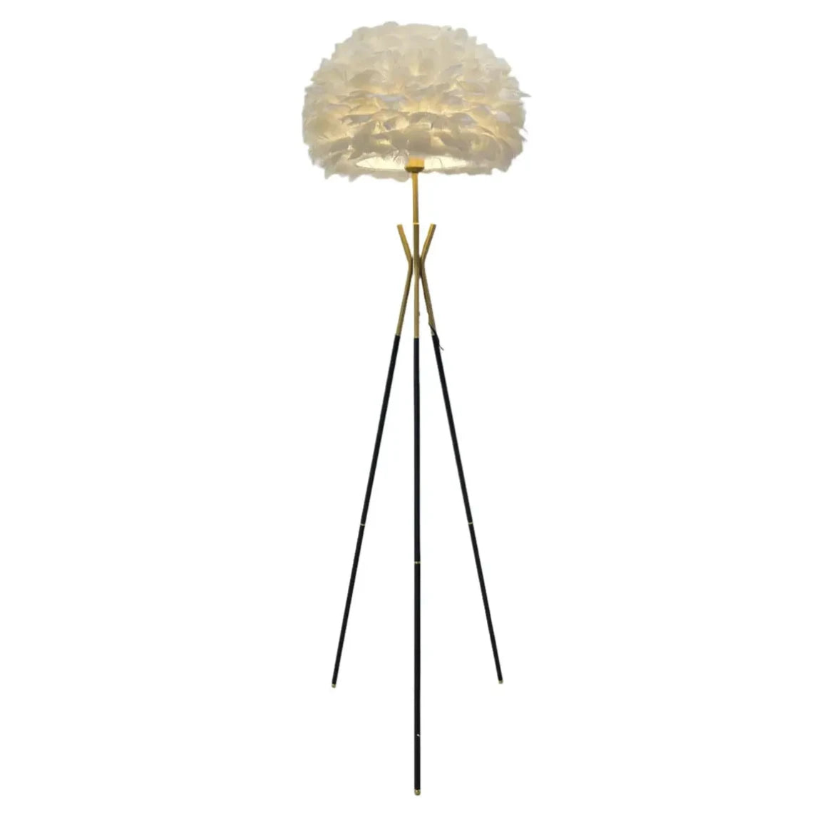 Feather Floor Lamp F6703