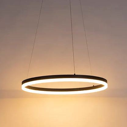 LED Pendant Light P5138B