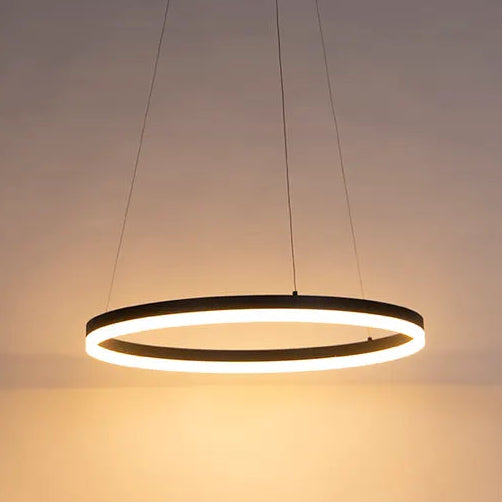LED Pendant Light P5138B