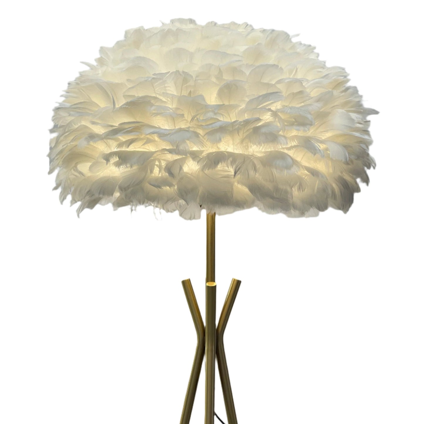 Feather Floor Lamp F6703