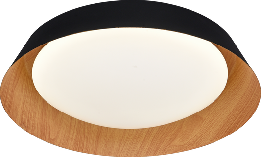LED Ceiling Light BM8080-C