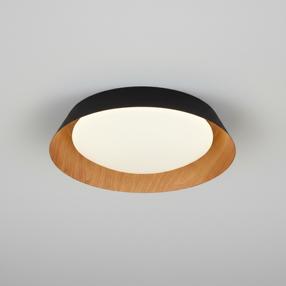 LED Ceiling Light BM8080-C