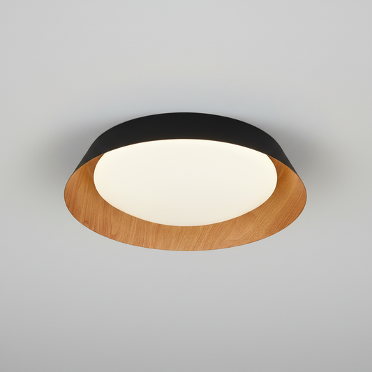 LED Ceiling Light BM8080-C