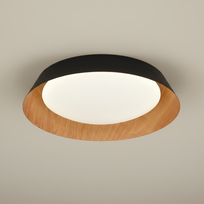 LED Ceiling Light BM8080-C