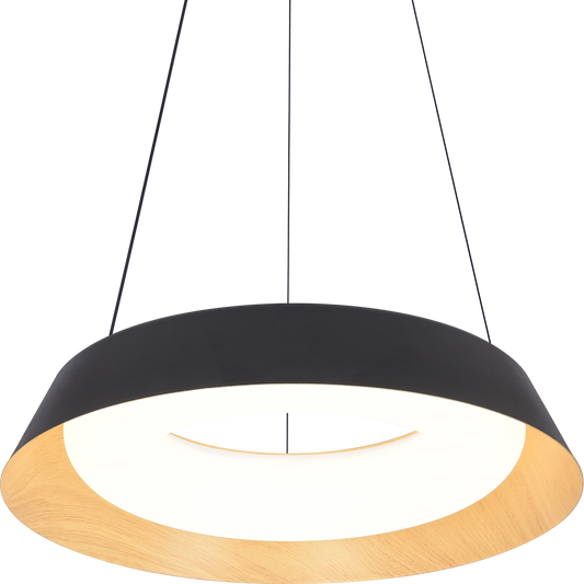 LED Pendant Light BM8081-P