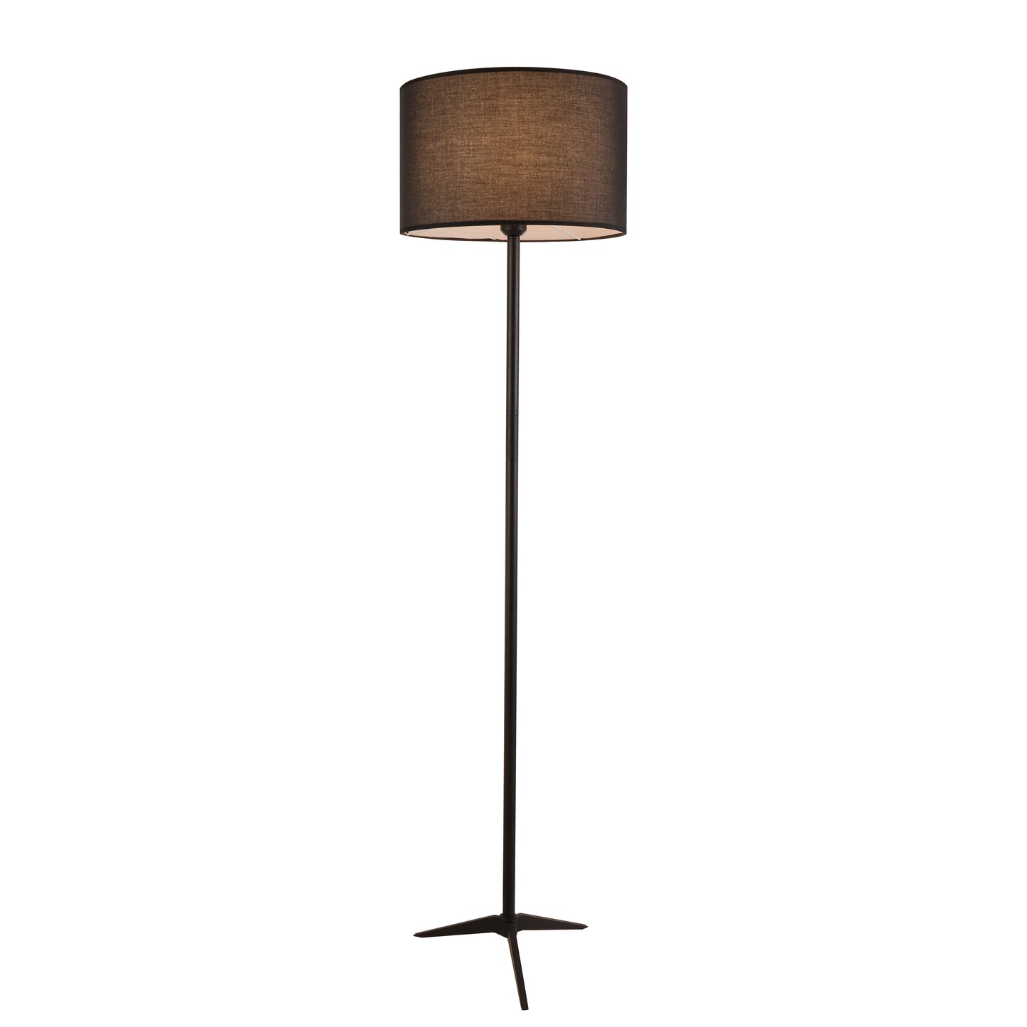 Devansh Floor Lamp RL9273-BK