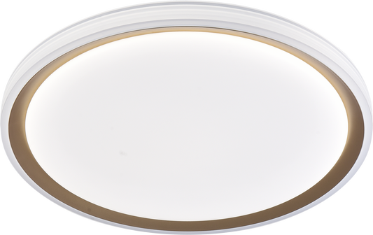 Ceiling Light 80W JZF8288