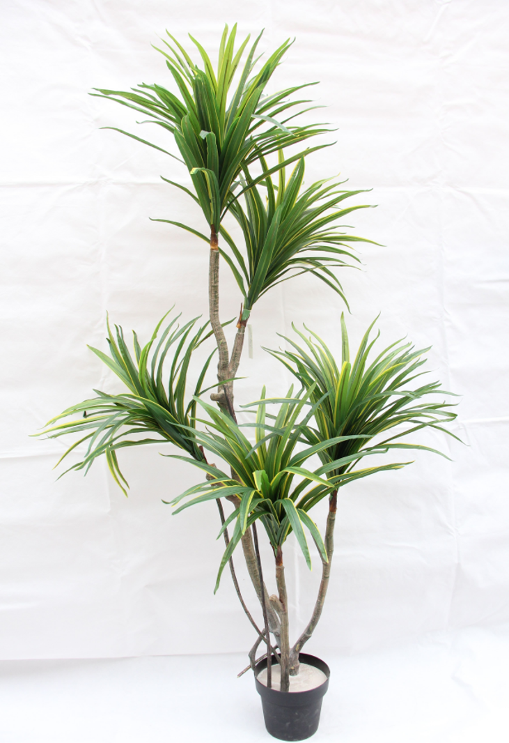 Yucca Artificial Tree BJ216/5