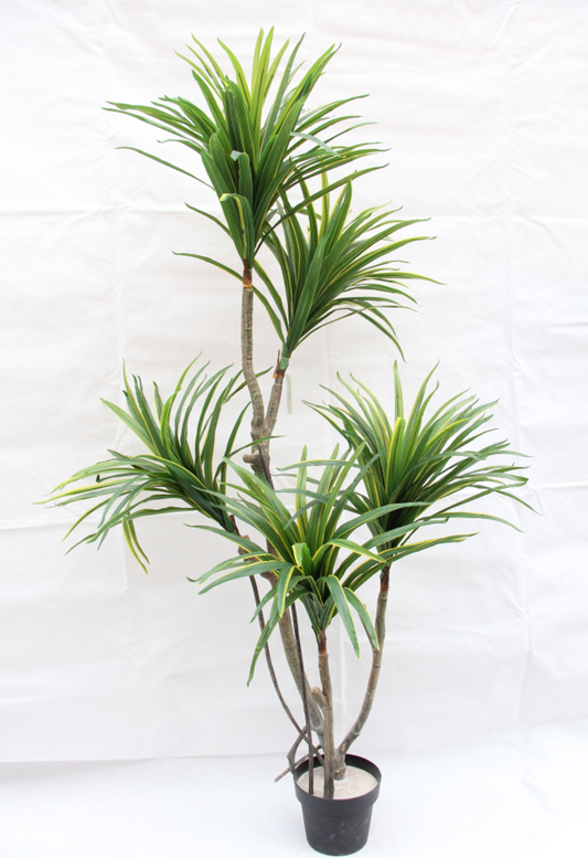 Yucca Artificial Tree BJ216/5