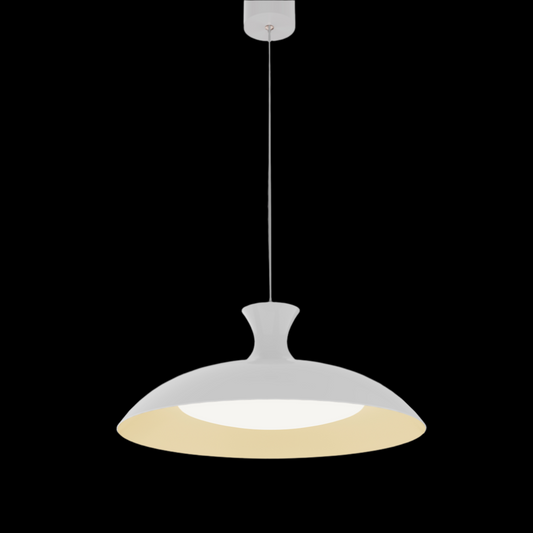 LED Pendant Light BM8079-P