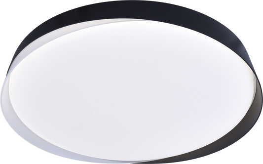 Ceiling Light RH4007 80W