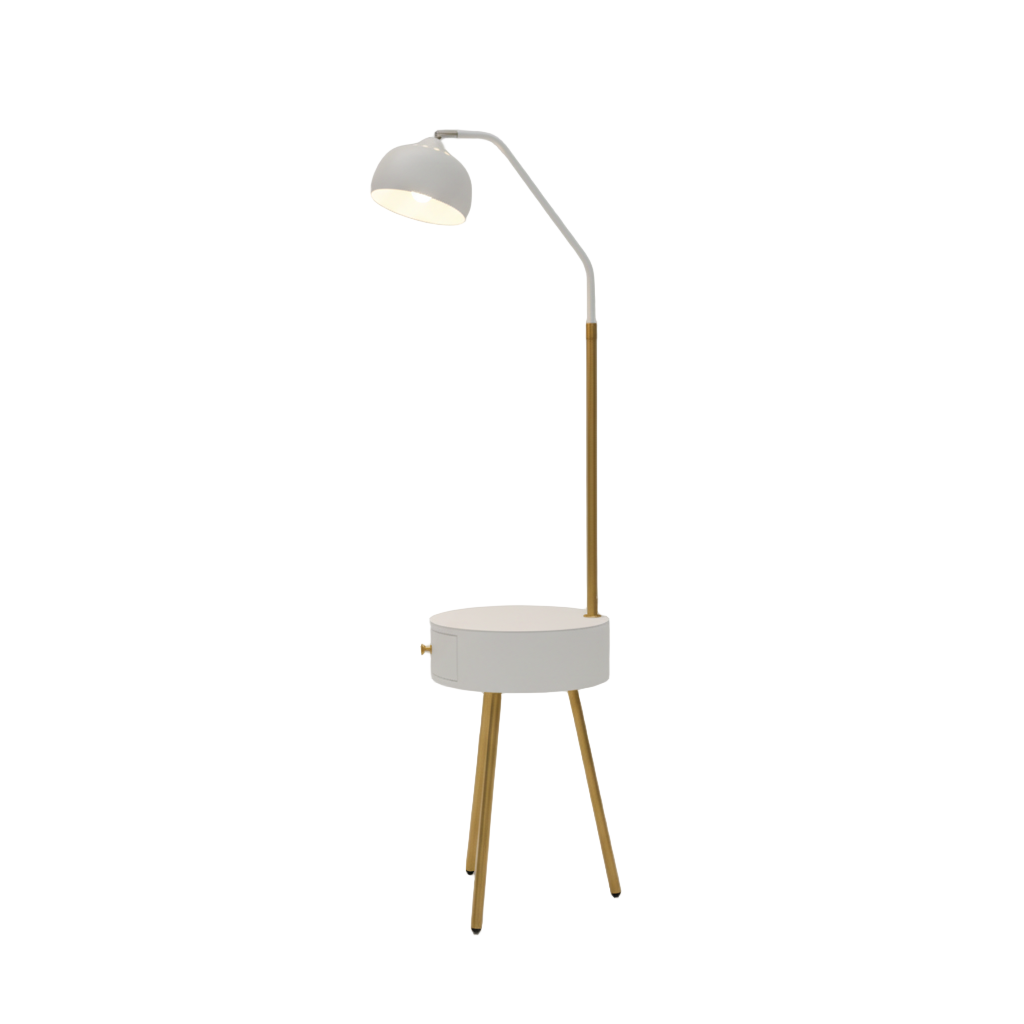 Floor Lamp BDX-F2160