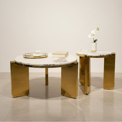 Light Luxury Coffee Table EM53